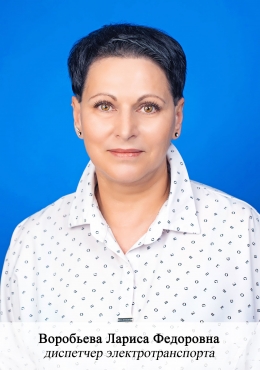 11_1 Воробьева